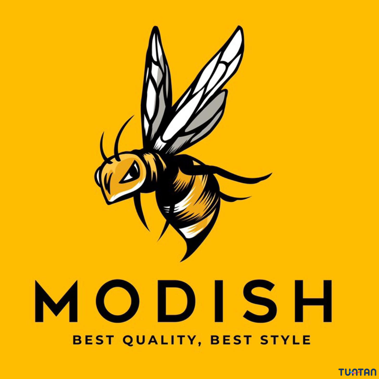 ขายส่งเสื้อยืด Modish Tshirts Wholesale