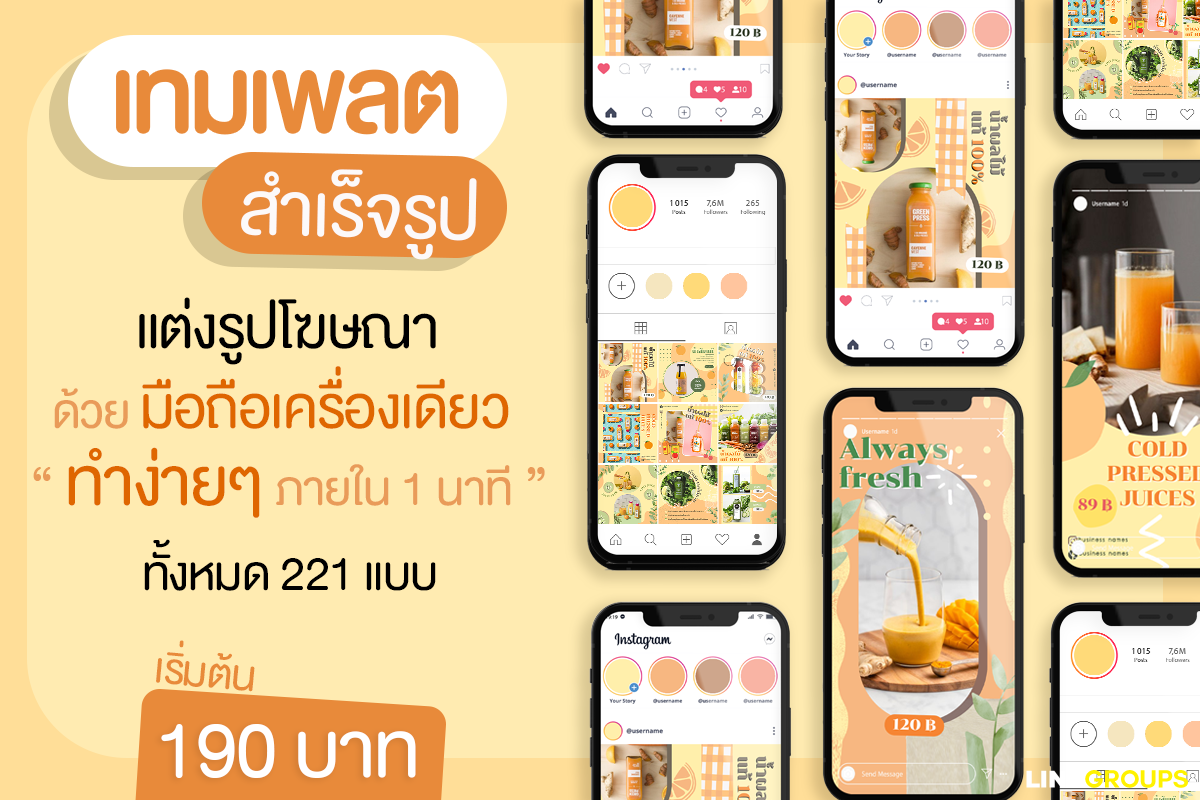 เทมเพลตสำเร็จรูป สำหรับร้านค้าออนไลน์